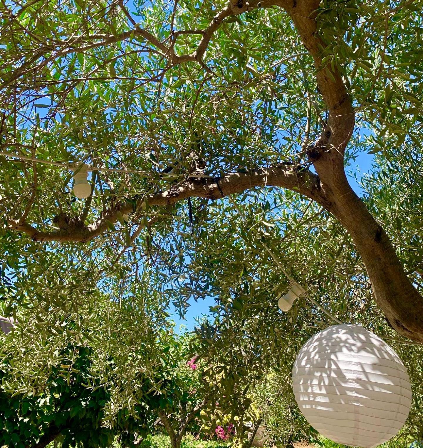 Vila Casa Dell'Olio - Al Baglio Paceco Exteriér fotografie